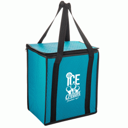Insulated Bag-Zipper-12 Pack Size- Aquamarine